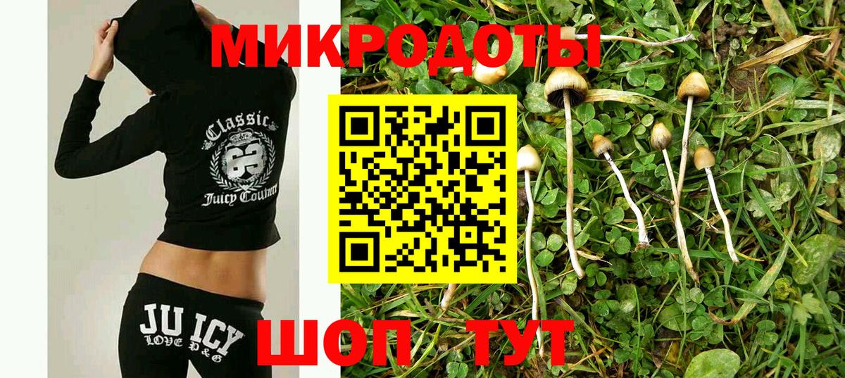 Псилоцибиновые грибы мухоморы Воткинск